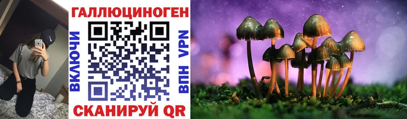 Галлюциногенные грибы Psilocybine cubensis  Гремячинск 